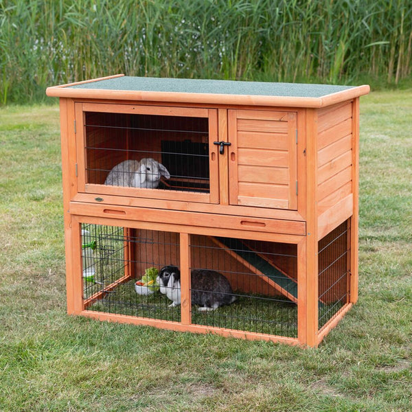 Small animal stable with enclosure