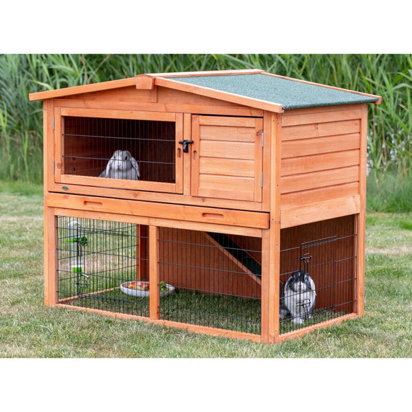 Small animal barn with outdoor enclosure