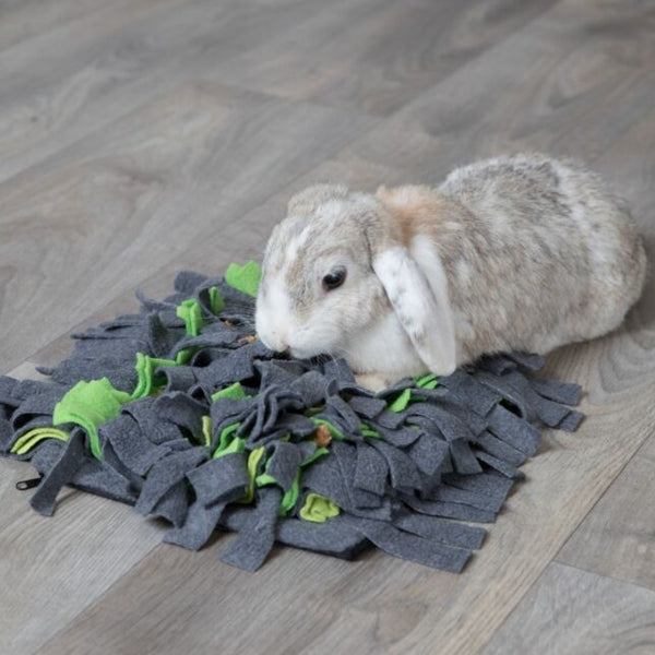 Tapis reniflant, 27 × 20 cm, gris/vert