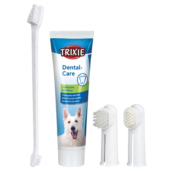 Kit de soins dentaires, chien, 100 g