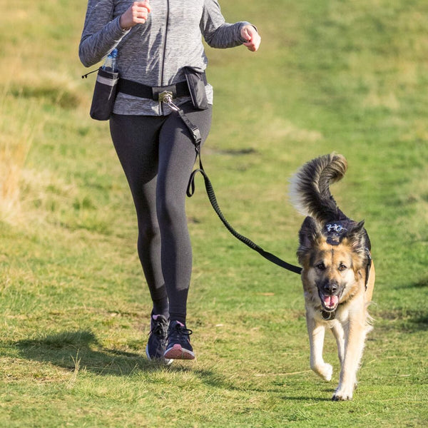 Waist belt with leash