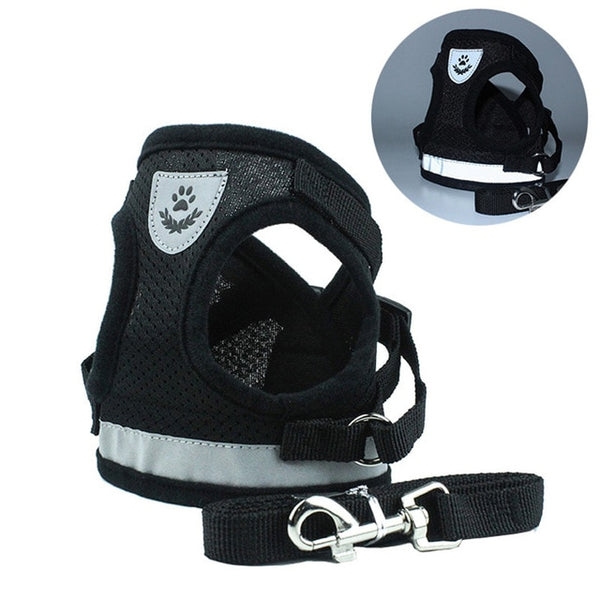 Reflective dog harness