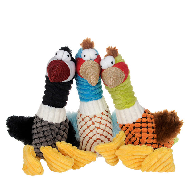 Famille de poules avec bruit